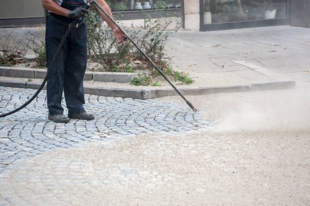 Best Warehouse Cleaning  in Staunton, IL